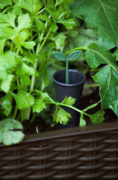 Грядка для рослин Keter Easy Grow, коричнева 897957405 фото