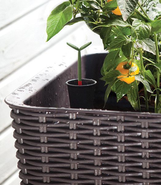 Грядка для рослин Keter Easy Grow, коричнева 897957405 фото