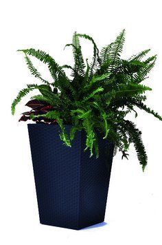 Горщик для рослин Keter Medium Rattan Planter сірий 1177108245 фото