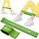 Резинка для фітнесу 4FIZJO Mini Power Band 1 мм 10-15 кг Green (P-5907222931615) 50001397 фото 1