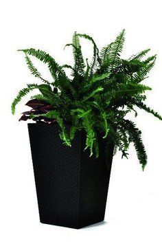 Горщик для рослин Keter Rattan Planter M (medium) 55,4 л 1177120547 фото