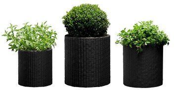 Набір горщиків для квітів Keter Cylinder Planter Set, сірий 894914604 фото