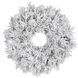 Вінок &oslash; 45 см декоративний Dinsmore Frosted зелений зі снігом 897963146 фото 1