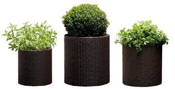 Набір горщиків для квітів Keter Cylinder Planter Set, коричневий 894914605 фото