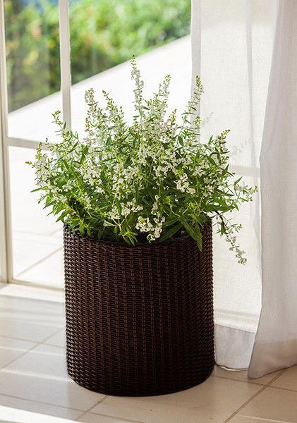 Набор горшков для цветов Keter Cylinder Planter Set, коричневый 894914605 фото