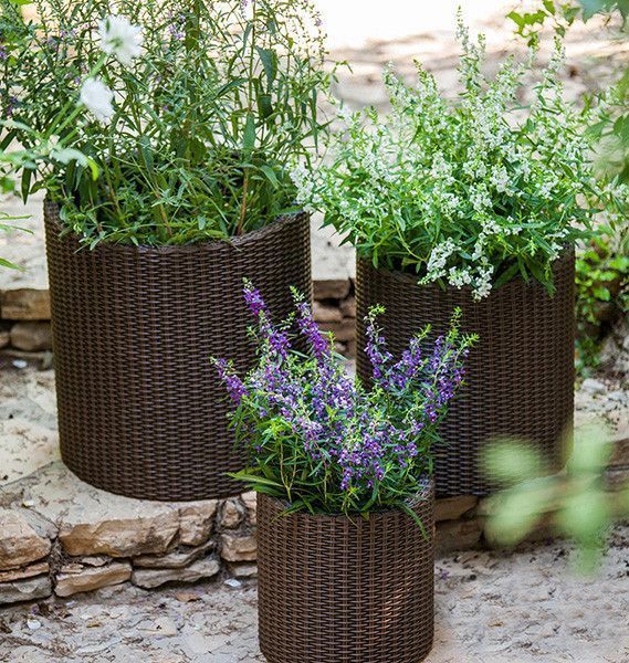 Набор горшков для цветов Keter Cylinder Planter Set, коричневый 894914605 фото
