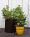 Набор горшков для цветов Keter Cylinder Planter Set, коричневый 894914605 фото 3