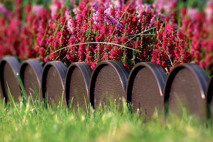 Бордюр садовий Prosperplast GARDEN LINE, коричневий, 10 м 897959445 фото