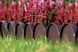 Бордюр садовий Prosperplast GARDEN LINE, коричневий, 10 м 897959445 фото 4